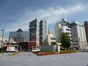 学芸大学駅 徒歩12分 2階の物件内観写真